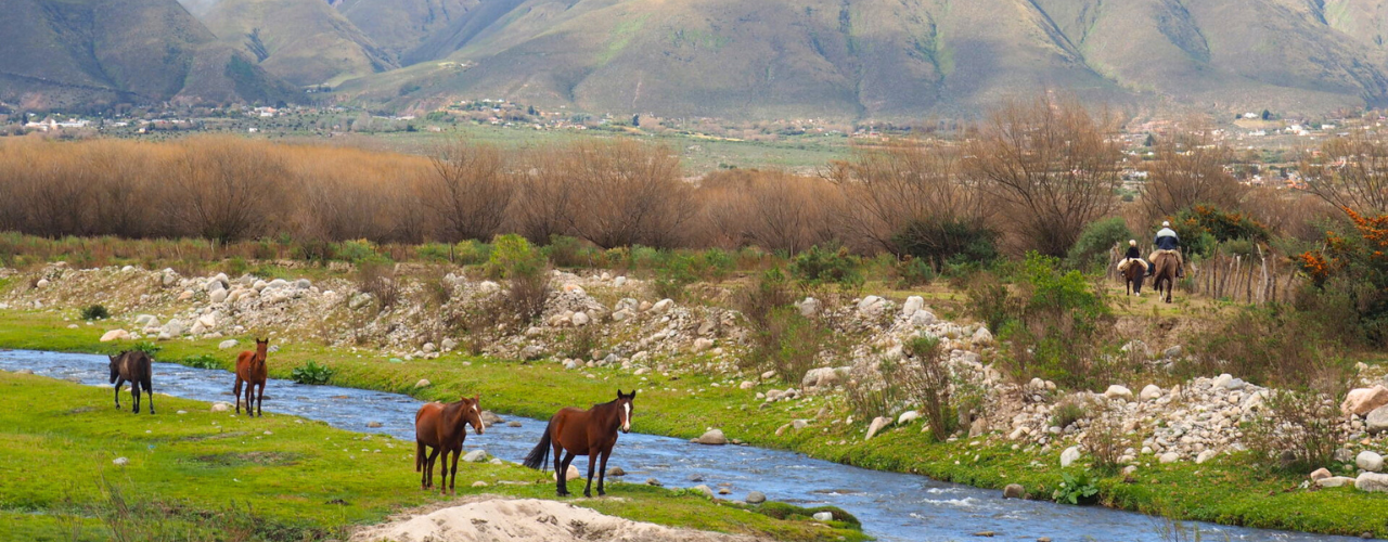 Tucumán, Salta y Jujuy (c Salinas y Puna)