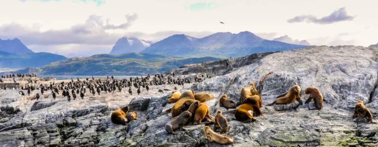 Navegación Lobos Yate 4hs con Trekking