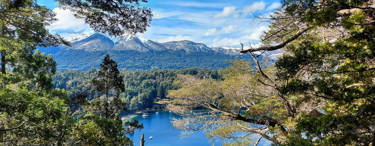 San Martín y Ruta 7 Lagos