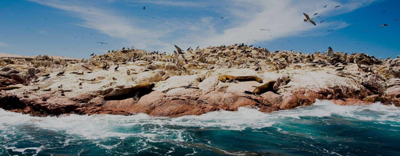 Lima - Paracas - Ica - Cusco 08 días - 07 noches 